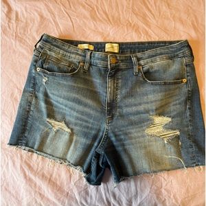 Universal Threat Denim Shorts